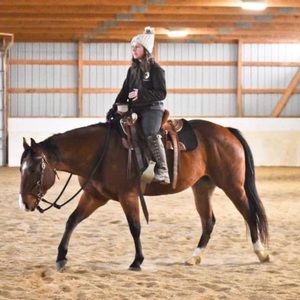 Meet your Posher, Ellen